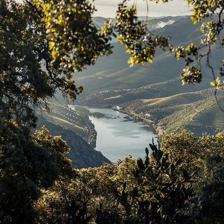 פסו דה רגואה Original Douro Hotel מראה חיצוני תמונה